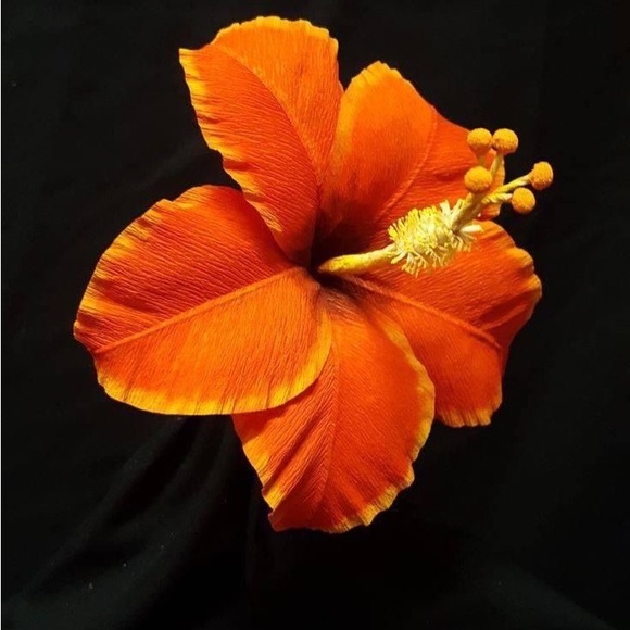 Meet your Posher, Melanie - Picture 1 of 1